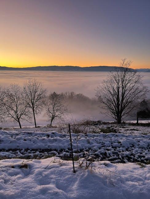 Crafting Cold Emails with a Warm Touch: A How-To Guide