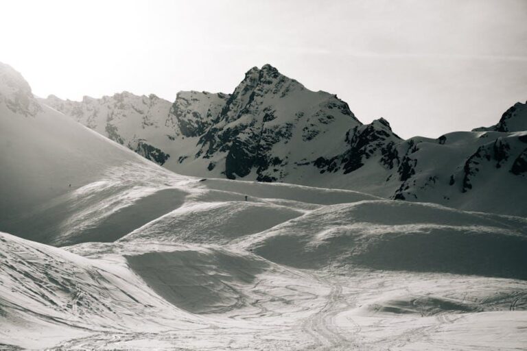 Mastering Cold Emails: Strategies to Boost Open Rates