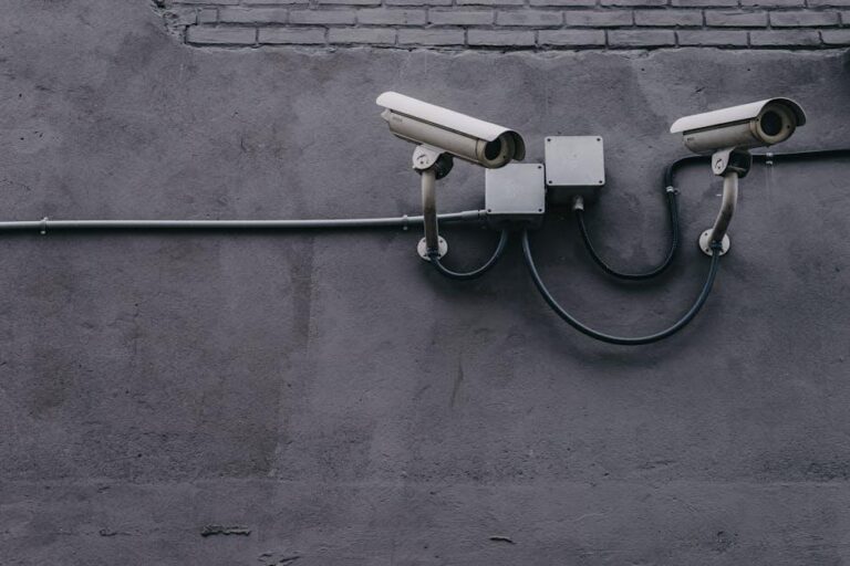 Maximizing Data Privacy: Best Practices for Secure Data Enrichment Maximizing Data Privacy: Best Practices for Secure Data Enrichment