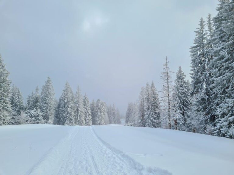 Mastering Cold Emails: Effective Strategies for Surveys & Feedback