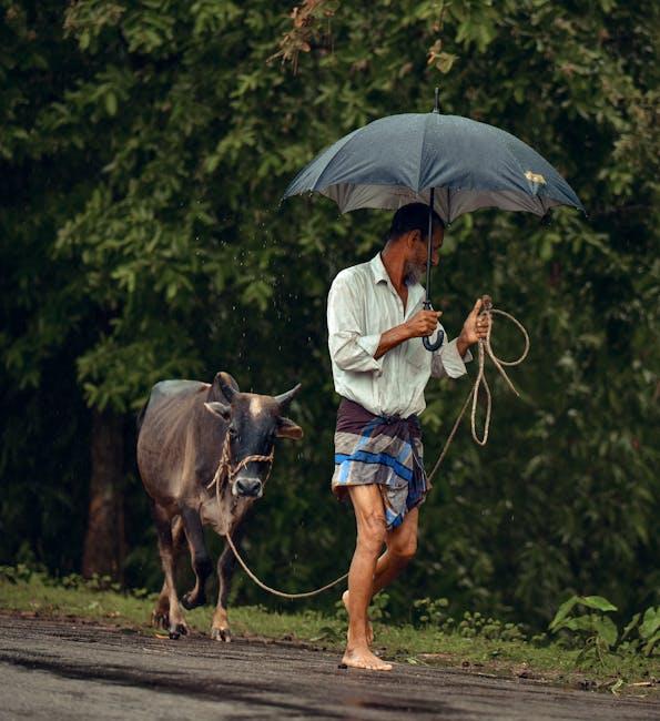 Seamless Integration: Local Leads and Your CRM Made Easy