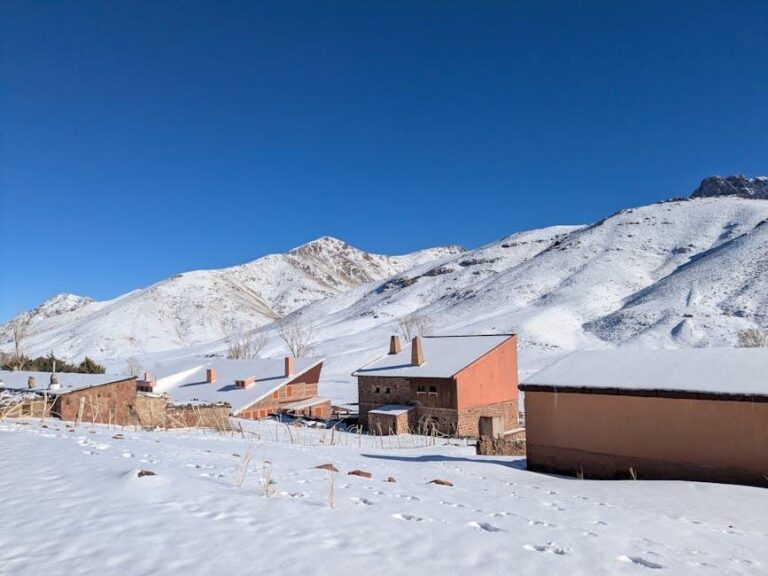 Mastering Cold Emails: Tips to Bypass Spam Filters Mastering Cold Emails: Tips to Bypass Spam Filters