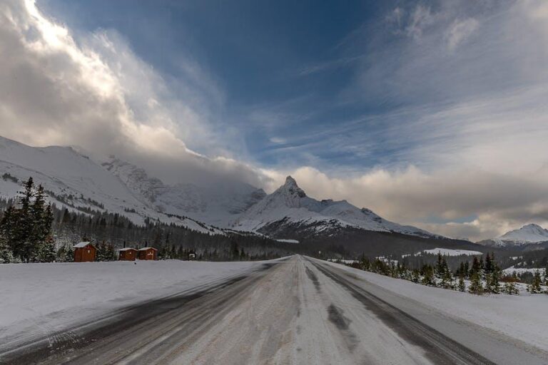 Tailoring Cold Emails: Personalization Through Industry Insights Tailoring Cold Emails: Personalization Through Industry Insights